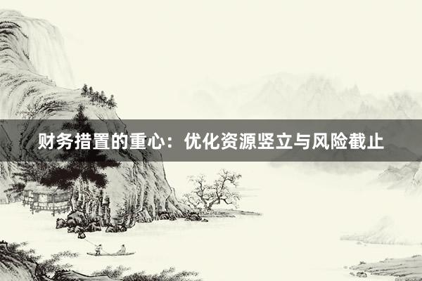 财务措置的重心：优化资源竖立与风险截止